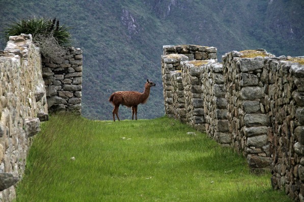 Peru Maravilhoso